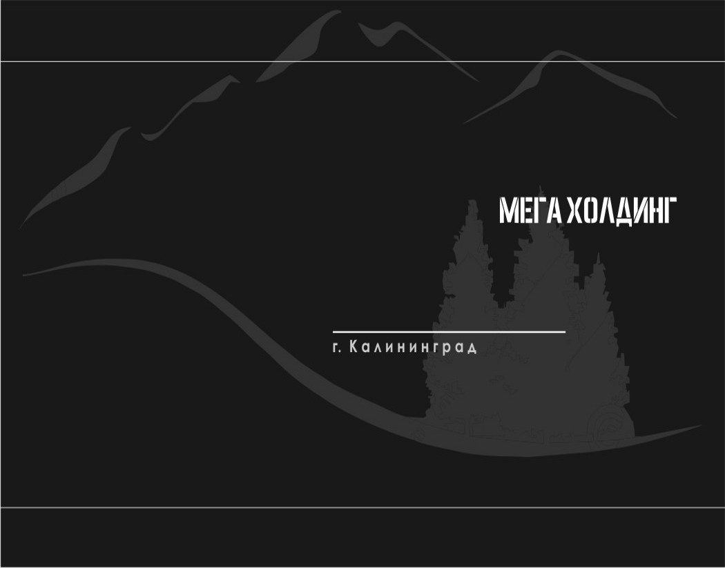 Мега Холдинг 